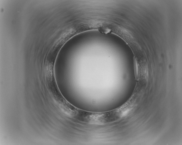 X0000059080172200510172039