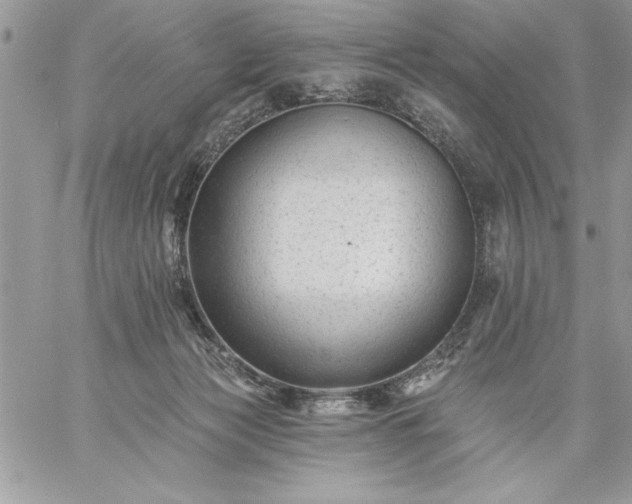 X0000059080173200510172039