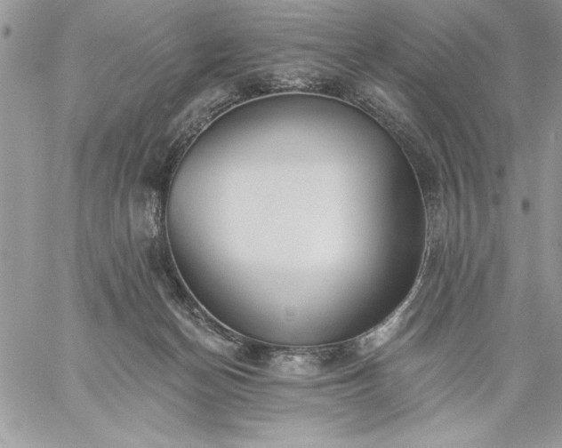 X0000059080174200510172039