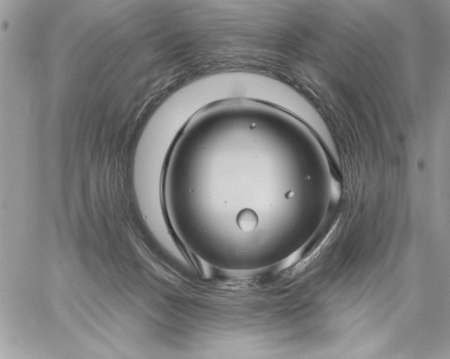 X0000059080175200510172039