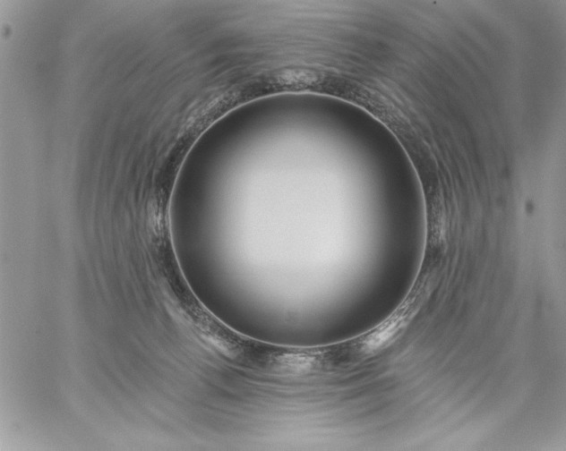 X0000059080176200510172039