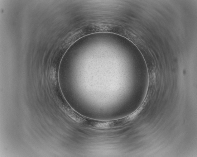 X0000059080178200510172039