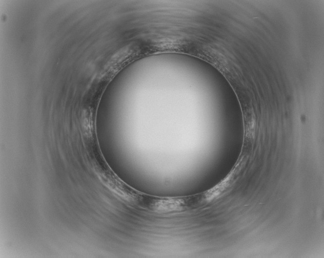 X0000059080179200510172039