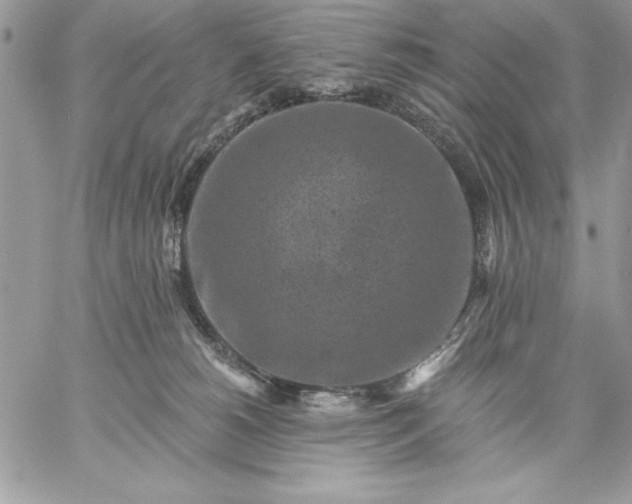 X0000059080180200510172039