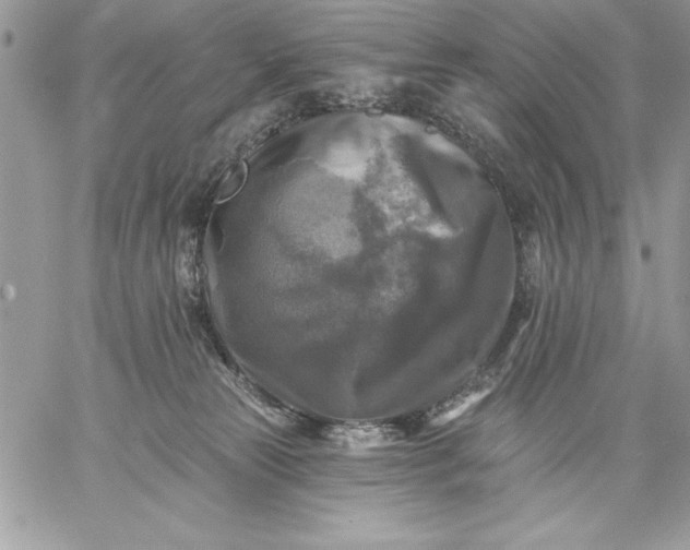 X0000059080181200510172039