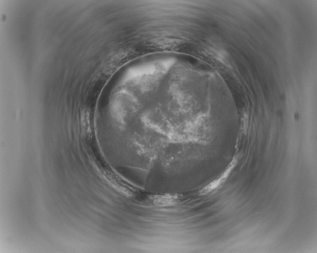 X0000059080182200510172039