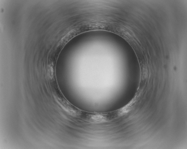 X0000059080183200510172039