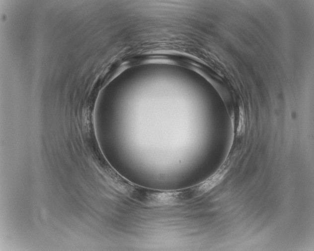 X0000059080184200510172039