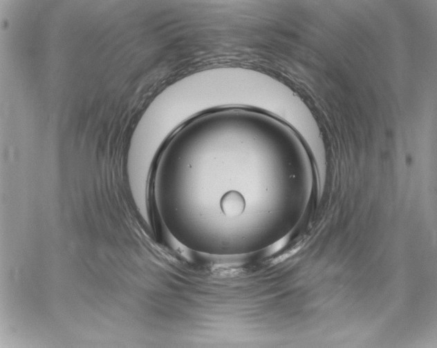 X0000059080185200510172039