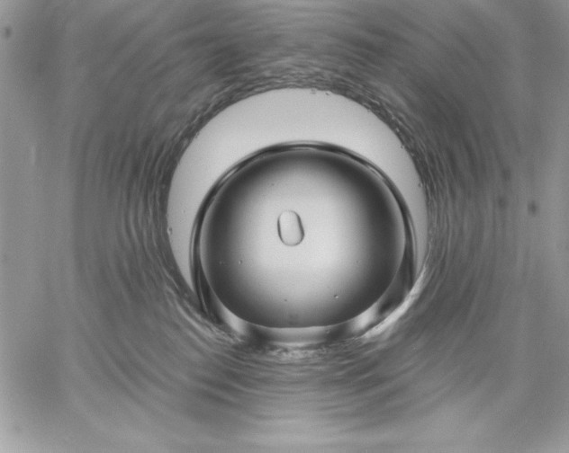 X0000059080186200510172039