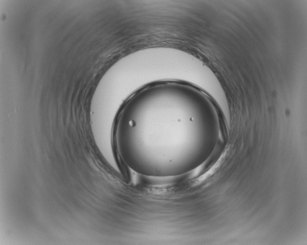 X0000059080187200510172039