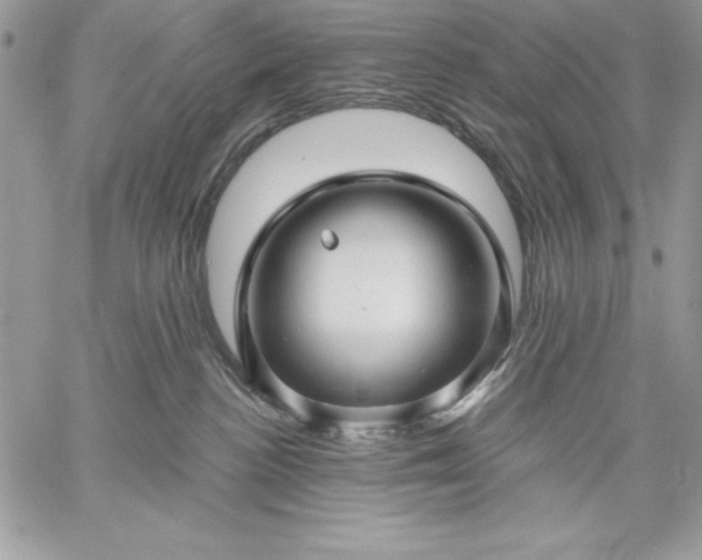 X0000059080188200510172039