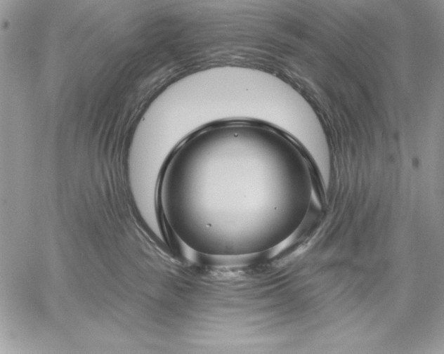 X0000059080189200510172039