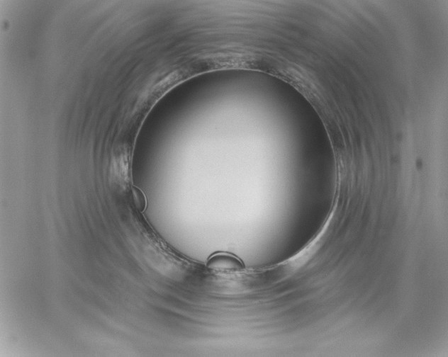 X0000059080190200510172039