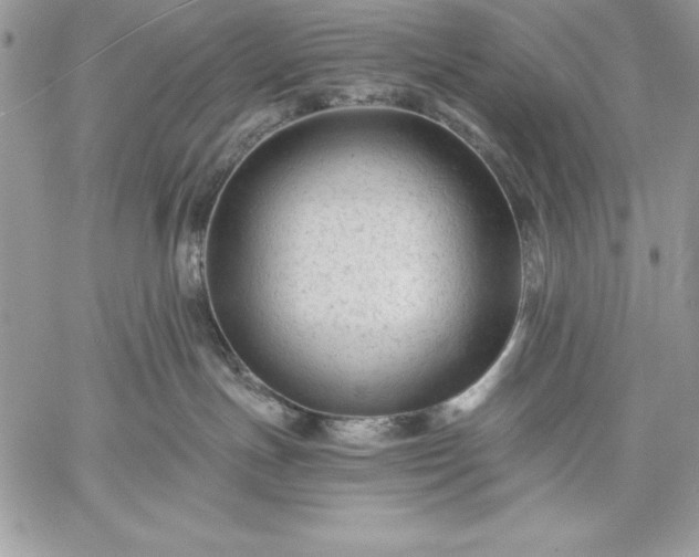 X0000059080191200510172039