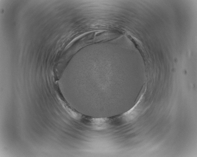 X0000059080192200510172039