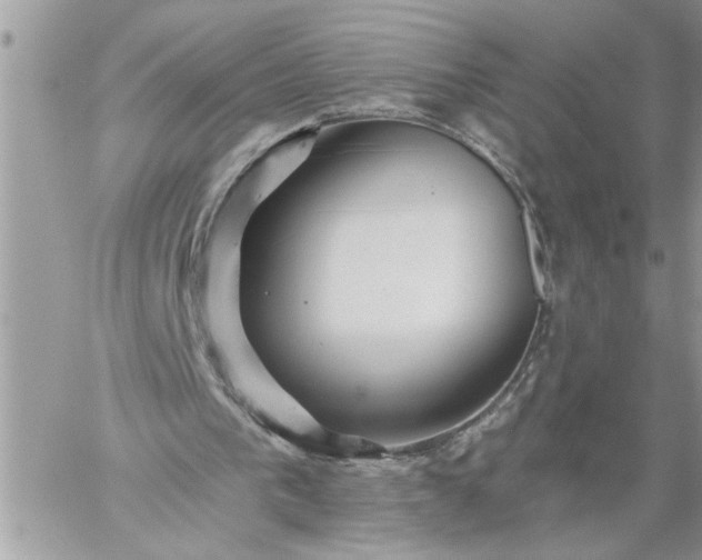 X0000059080193200510172038