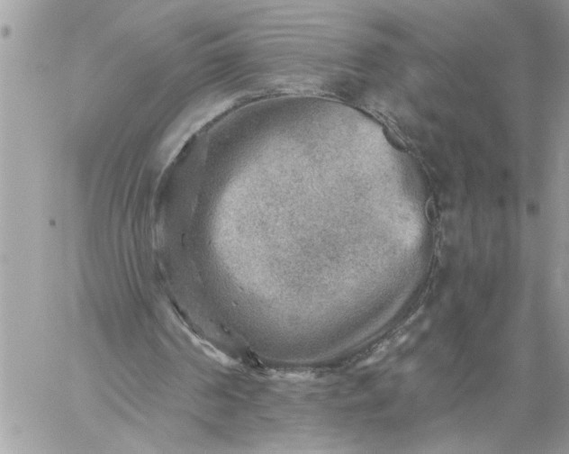 X0000059080194200510172038