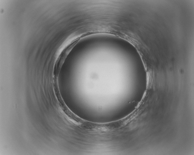 X0000059080195200510172038