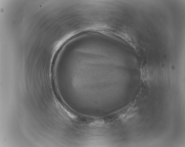 X0000059080196200510172038