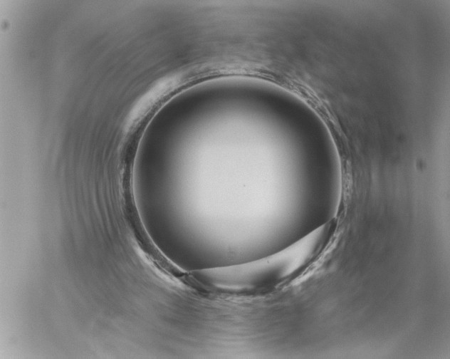 X0000059080197200510172038