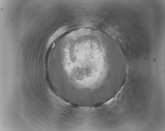 X0000059080198200510172038