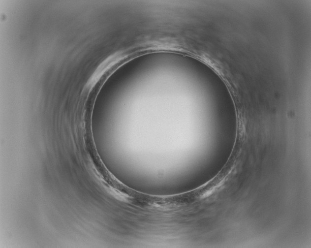 X0000059080199200510172038