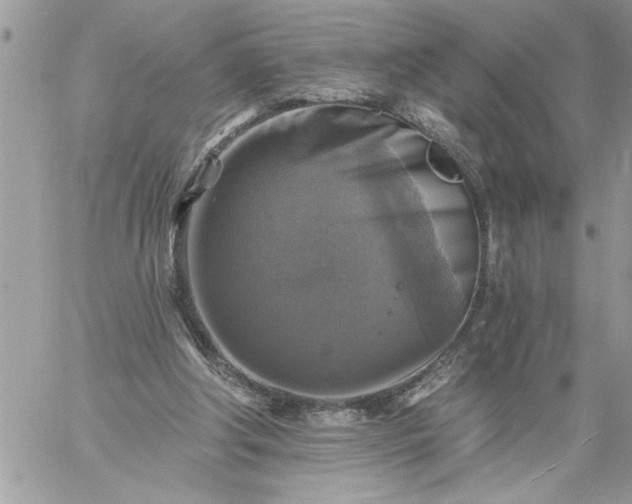 X0000059080202200510172038