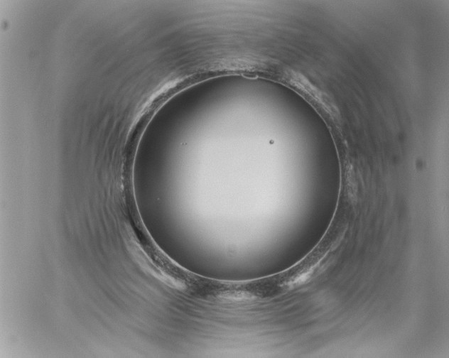 X0000059080203200510172038