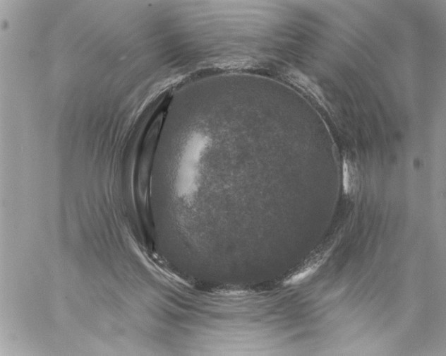 X0000059080205200510172038