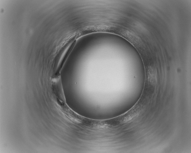 X0000059080206200510172038