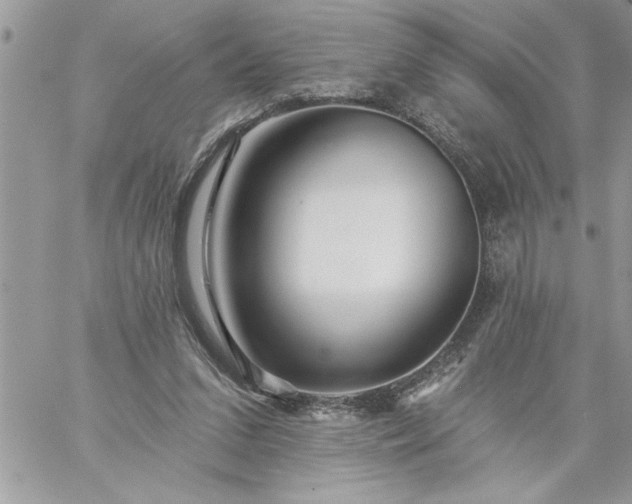 X0000059080207200510172038