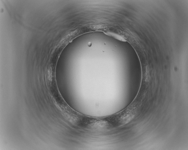 X0000059080210200510172038