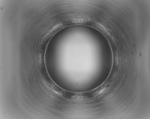 X0000059080211200510172038