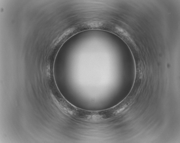 X0000059080212200510172038