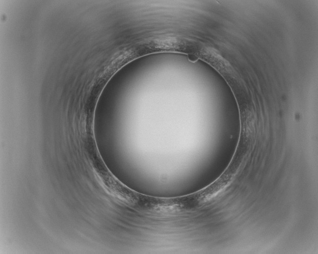 X0000059080213200510172038