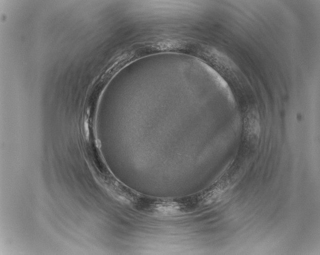 X0000059080214200510172038