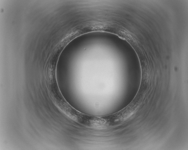 X0000059080215200510172038