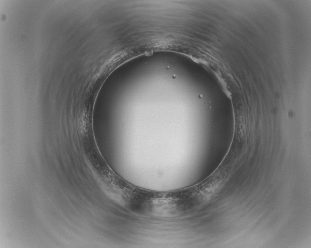 X0000059080216200510172038