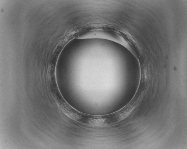 X0000059080217200510172038