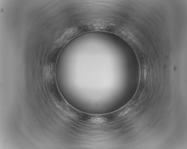 X0000059080218200510172038