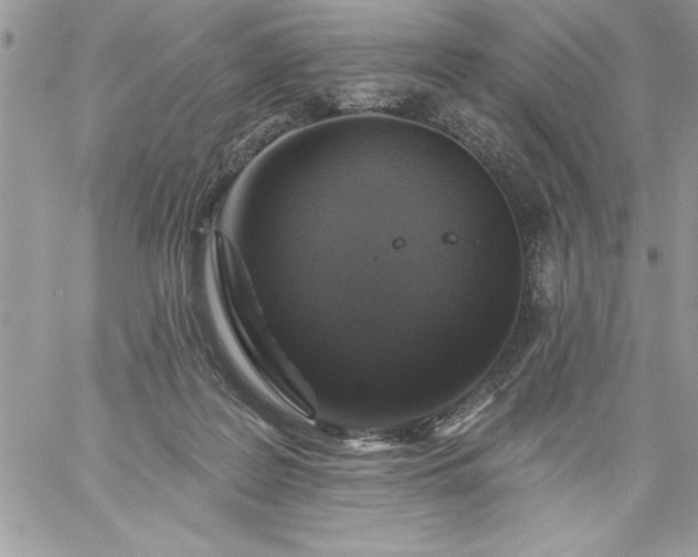 X0000059080219200510172038