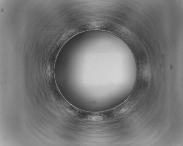 X0000059080220200510172038