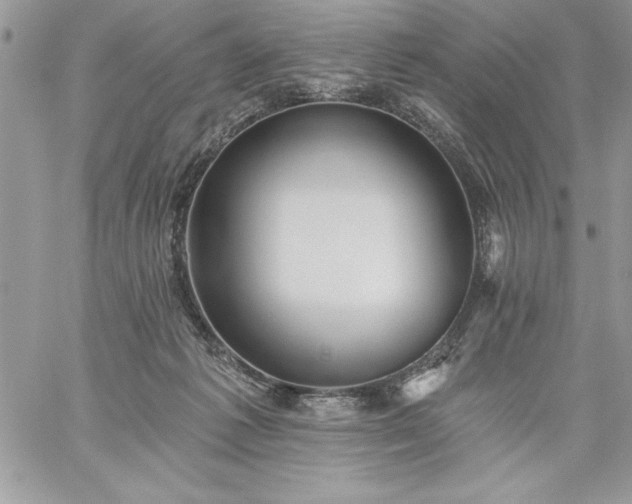 X0000059080221200510172038