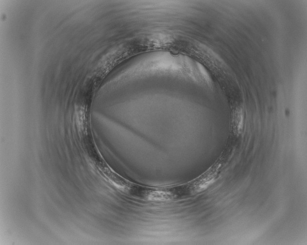 X0000059080222200510172038