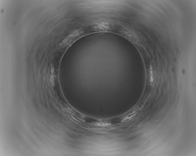 X0000059080223200510172038