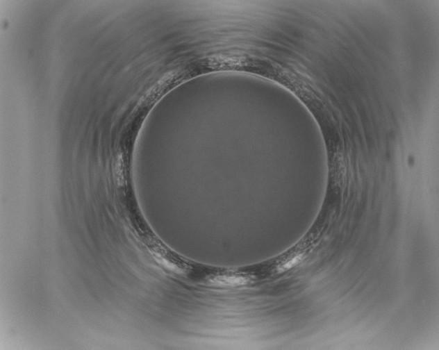 X0000059080224200510172038