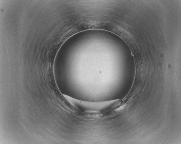 X0000059080225200510172038