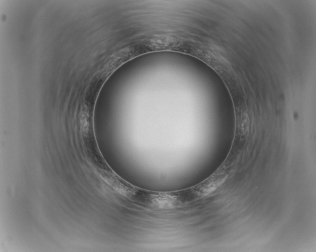 X0000059080226200510172038