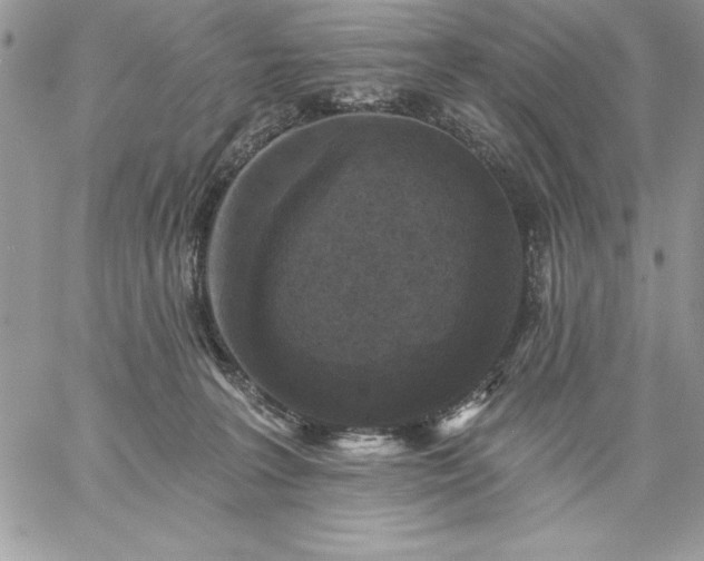 X0000059080227200510172038